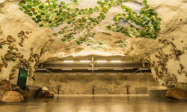 【ストックホルム地下鉄アート】Näckrosen